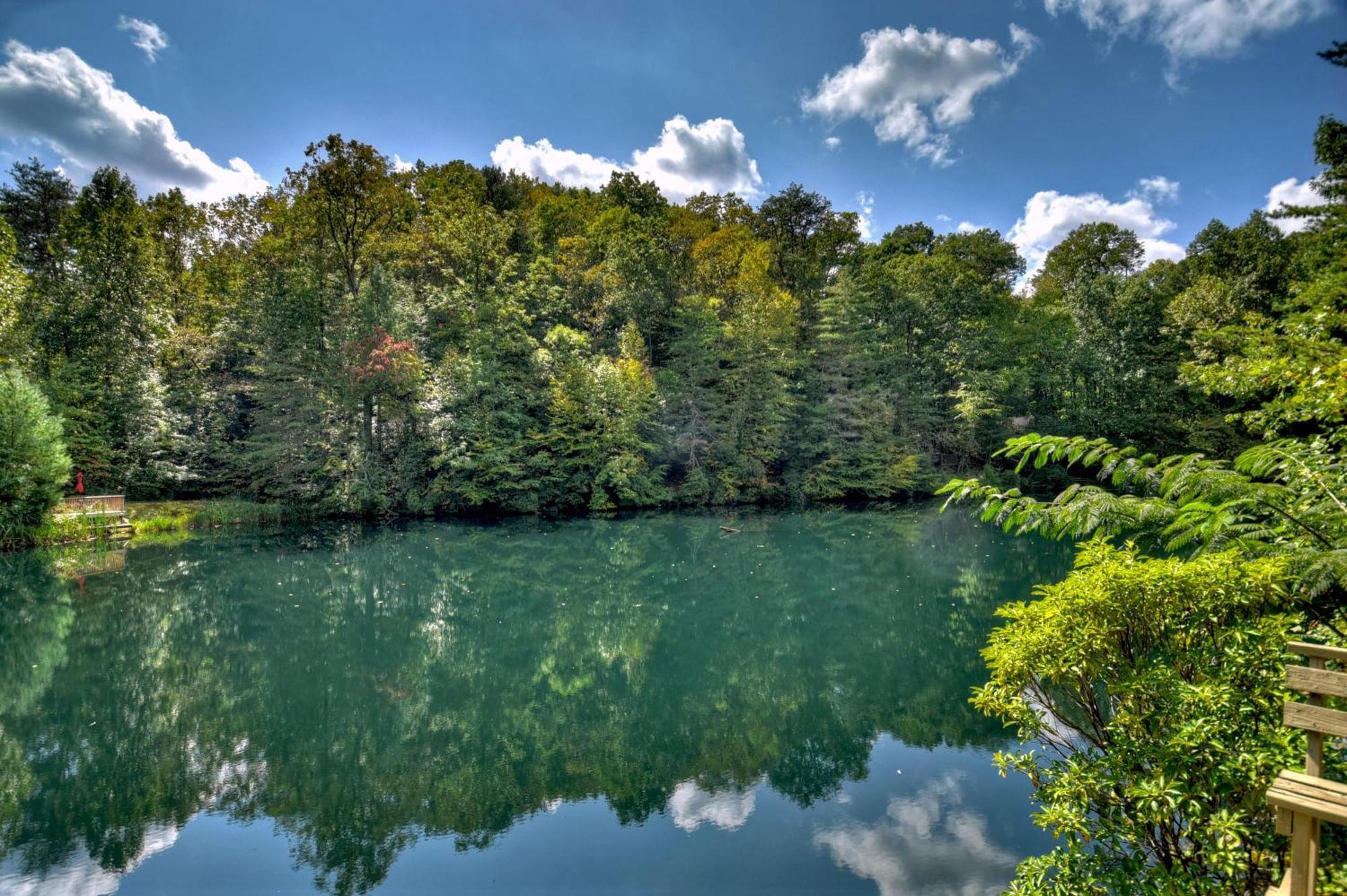 Waywish Waterfront Cabin In Blue Ridge Mountains Exterior photo